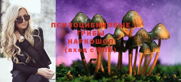 твердый Новодвинск