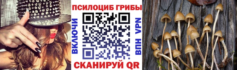 Галлюциногенные грибы мицелий Вилючинск