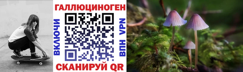 Псилоцибиновые грибы мицелий закладка Вилючинск